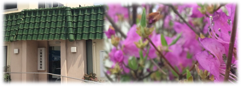 太陽鍼灸整骨院